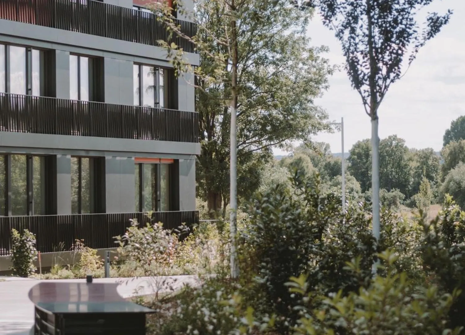 Elegant Studio By The Elbe In Central Dresden 0*,